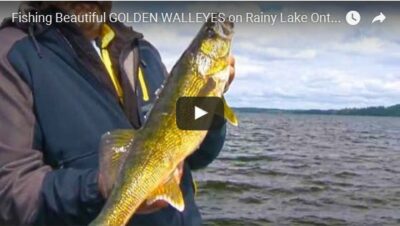 Rainy Lake Walleye Fishing in Ontario Canada