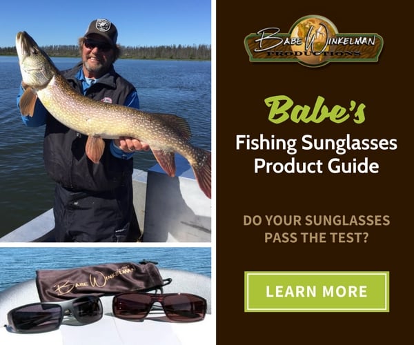fishing-sunglasses-product-guide-graphic