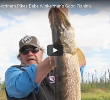 Babe-Huge-Pike-Saskatchewan-Thumbnail