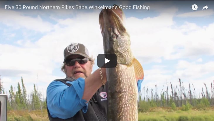 Babe-Huge-Pike-Saskatchewan-Thumbnail