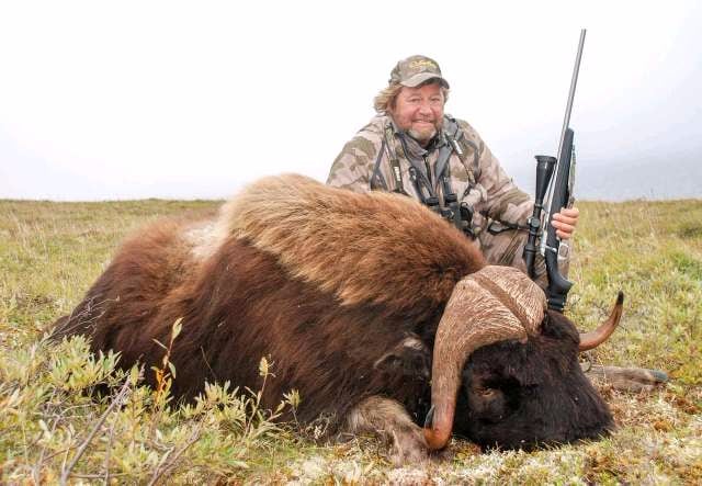 Babe-Arctic-Musk-Ox-Hunting